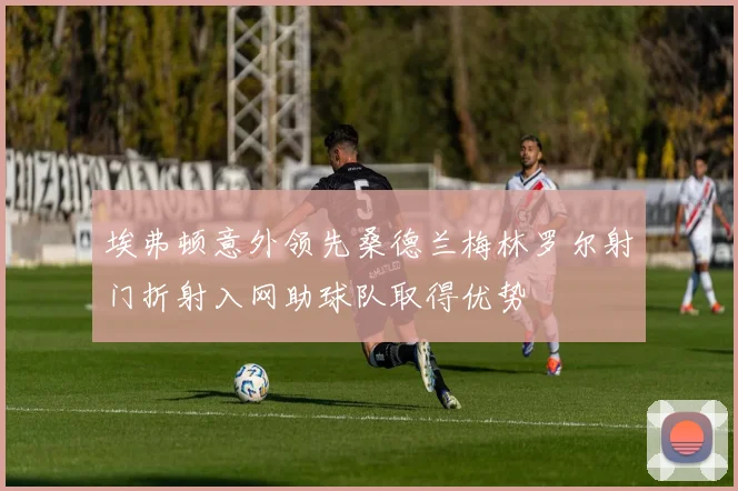 埃弗顿意外领先桑德兰梅林罗尔射门折射入网助球队取得优势