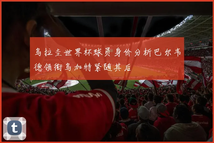 乌拉圭世界杯球员身价分析巴尔韦德领衔乌加特紧随其后